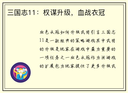 三国志11：权谋升级，血战衣冠